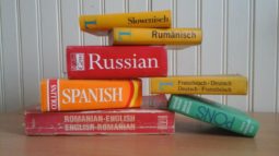 « Pourquoi avons-nous si peur des autres langues ? »