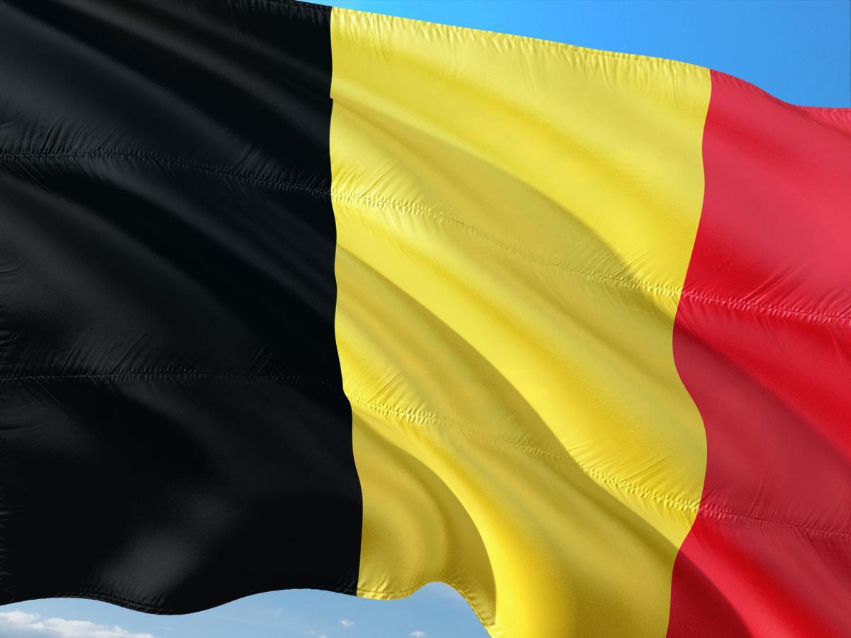 Les Flamands sont de «meilleurs» Belges que les Wallons