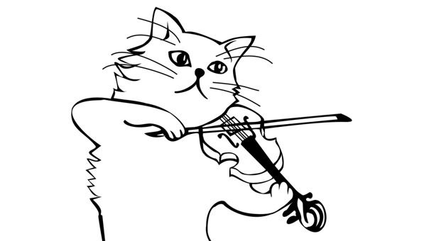 Les trop petits pas de chat de la Vivaldi