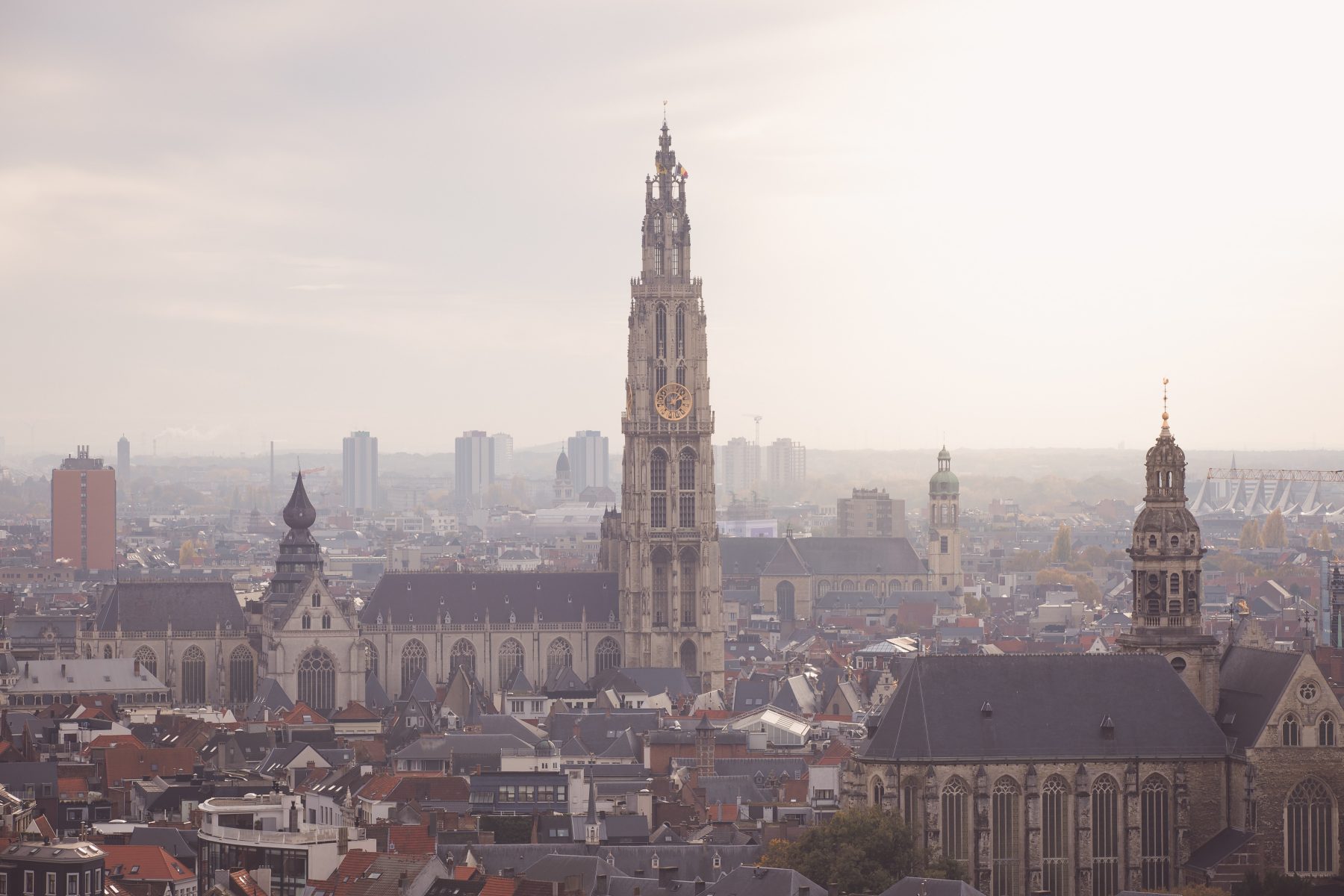 À Anvers, seule l’échevine décide de ce qu’est la culture
