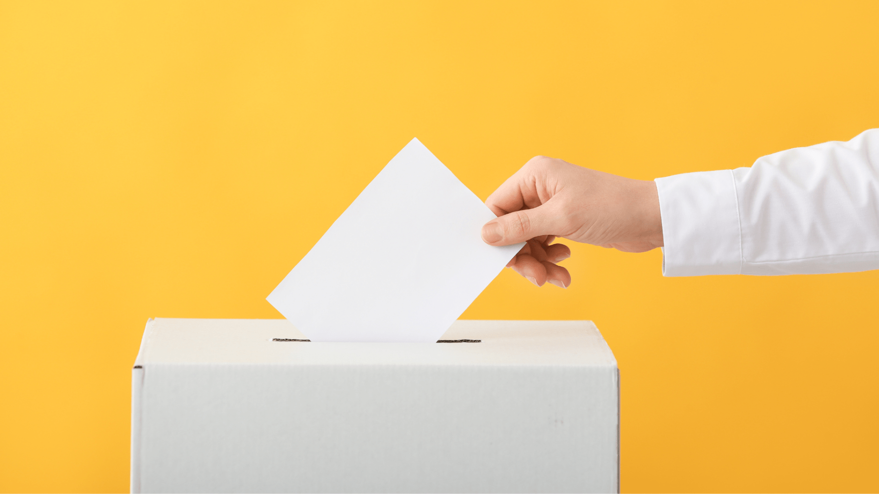 Fact-checking : non, un vote flamand ne vaut pas « moins » qu’un vote francophone