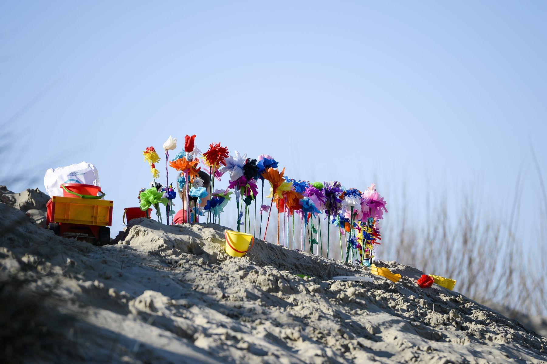 Fleurs de plage : retour sur cent ans d&rsquo;un troc typiquement belge