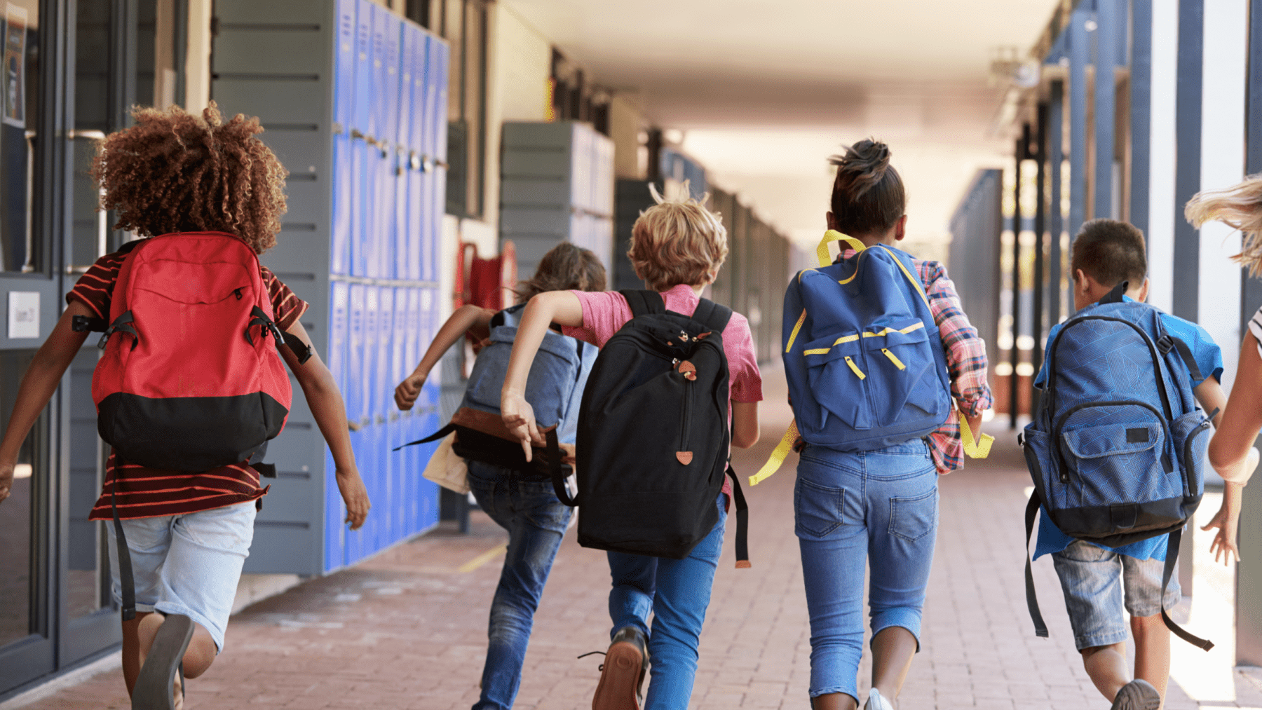 Une élue du Belang désignée à la tête d’une école communale en Flandre