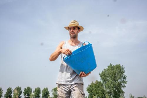 Koen, l'agriculteur bio sème du chanvre à Zwijndrecht