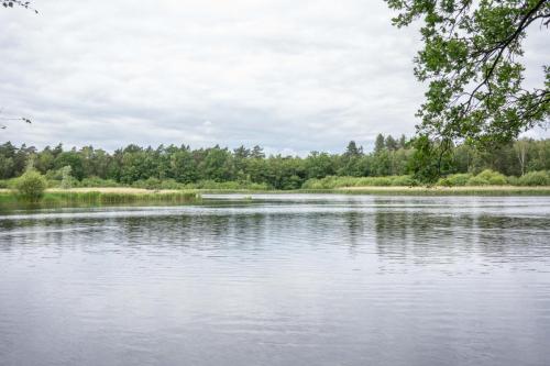 Vue sur l’un des étangs de la réserve naturelle De Wijers, près de Bolderberg 