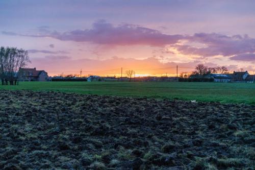 Coucher de soleil sur une prairie en Flandre occidentale (c) Jef Van den Bossche